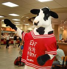 BLOG: Inside Look at the Chick-fil-A Cow