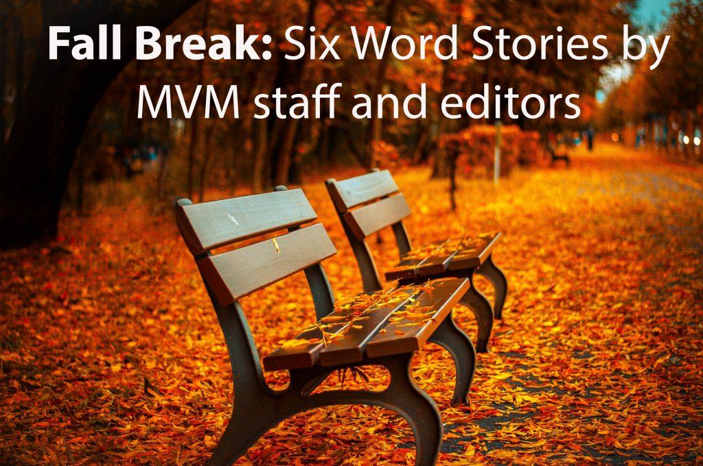 Mountain Vista Media: Six Word Stories