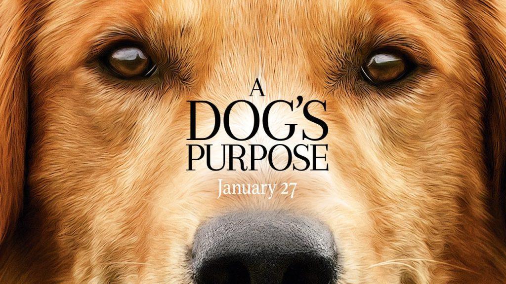 A Dogs Purpose: Creating a Purpose for Animal Abuse in the Film Industry?