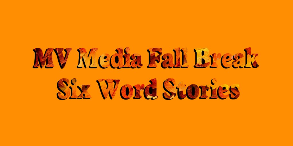 MV Media Six Word Stories