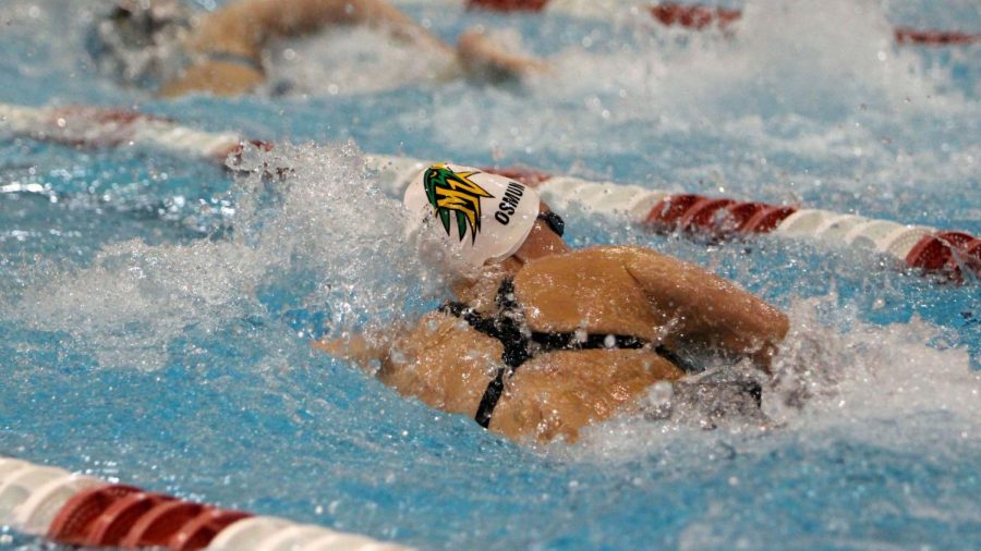 PHOTOS: Girls Swim and Dive State Competition