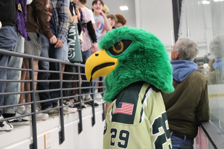 The mascot spent time on the ice and up in the crowd, helping to whip the fans into excited, loud cheers. 